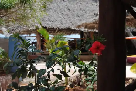 Blu Marlin Village - 10