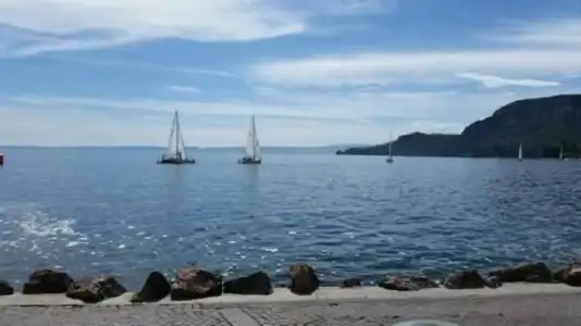 Park Oasi - 28
