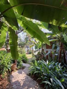 Ancarine Beach Resort - 125