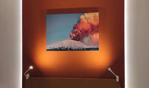 Betulla dell'Etna - 38