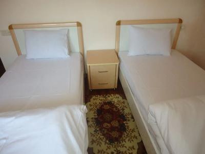 Apartments Tigran Petrosyan - 16