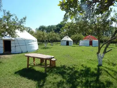 Jurten Camp Almaluu - 10