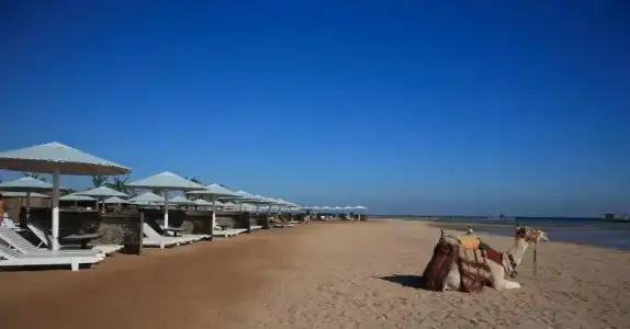 Pharaoh Azur Resort - 27