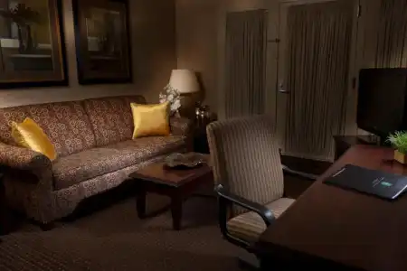 Embassy Suites Lubbock - 34