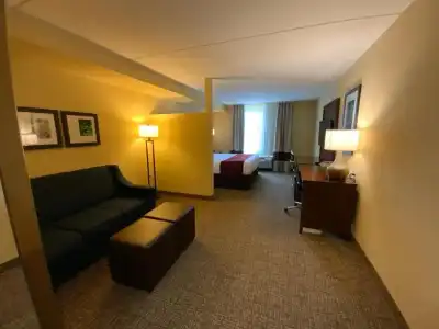 Comfort Suites Fredericksburg North - 86