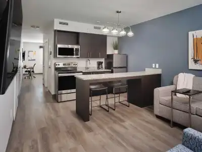 stayAPT Suites Greenville-Haywood Mall - 13
