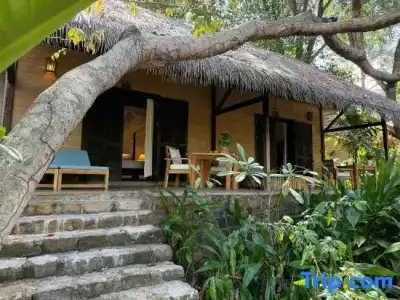 Mango Bay Resort - 41