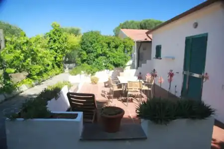 Azienda Agricola Sapereta - 47