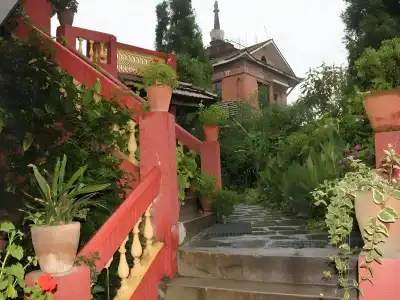 View Point - 8
