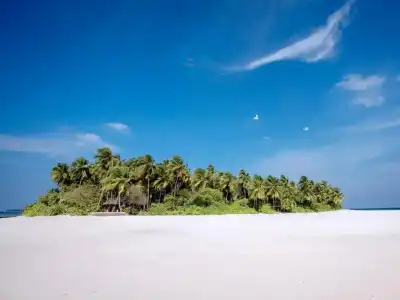 Yash Nature Resort (ex. Aaaveee Natures Paradise) - 49