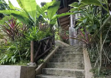 Fig Tree Hill Resort - 7