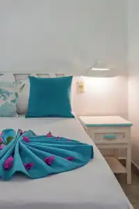 Residence Playa Colibri - 83