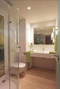 Hotel-Restaurant Adler - 9