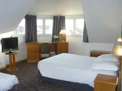 Hôtel Red Fox - 33