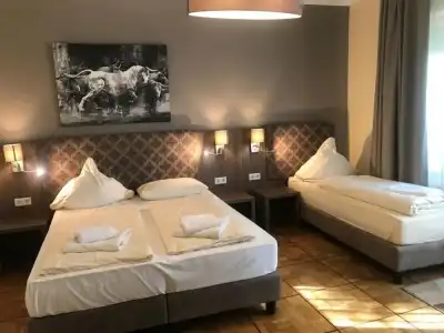 Il Cavallino - 3