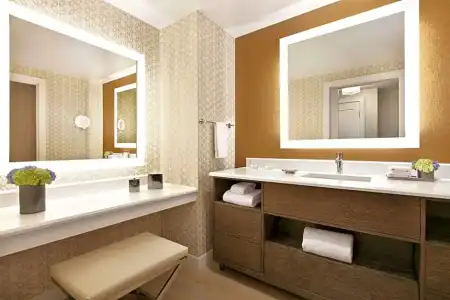 Fairmont Austin - 42