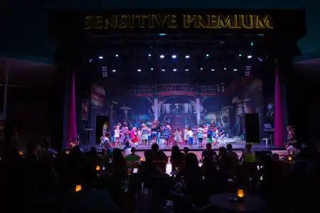 Sensitive Premium Resort & Spa - All Inclusive - 25