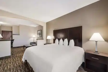 Comfort Suites Plano East - Richardson - 3