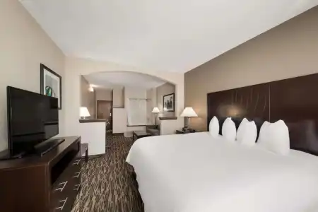 Comfort Suites Plano East - Richardson - 63