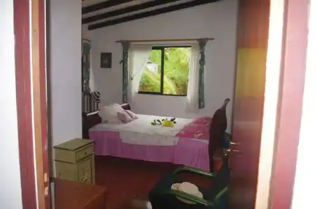 Papaya Guesthouse - 17