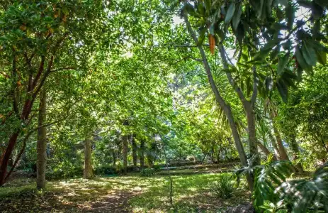 Etna Botanic Garden - 120