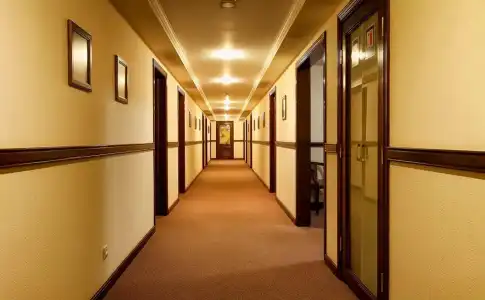 Chichikov - 10