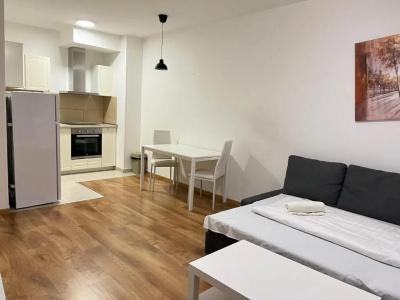 Corvin Rose Apartment - 73