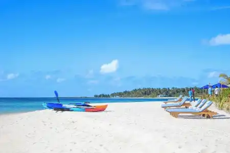 The Maverick Surf and Dive Boutique - 28