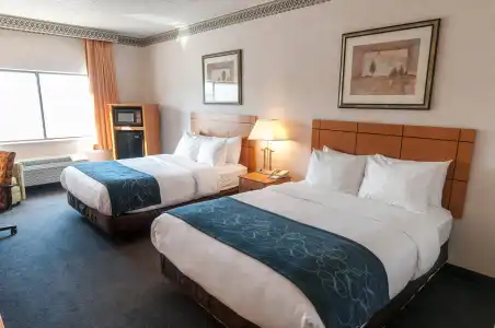 Comfort Suites University Las Cruces - 2