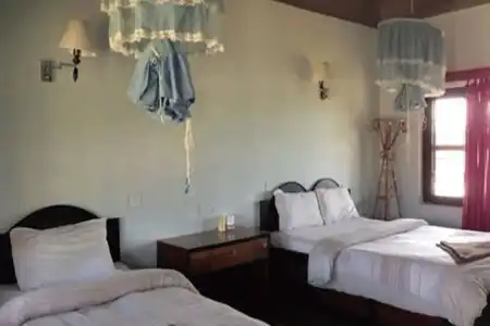 Wildlife Adventure Resort - 2