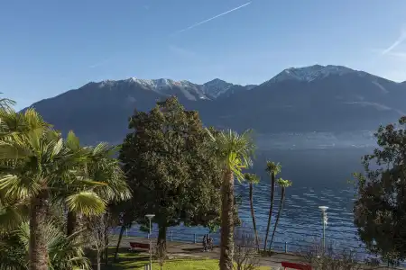 La Palma au Lac - 32