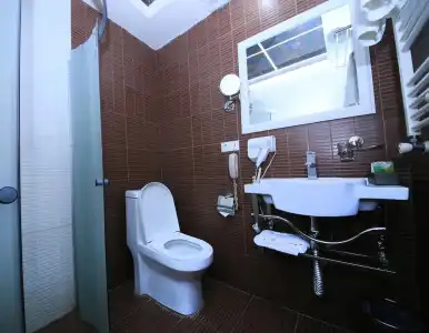 Borjomi Palace Health & Spa Center - 36