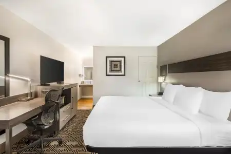 Best Western Central Inn - 51