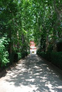 Villa Pigna - 39