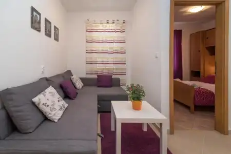 Apartments Vojin - 102