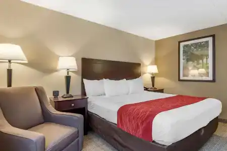 Comfort Inn Lansing West - 33