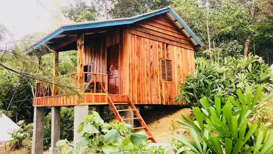 Robinson Bungalows - 25