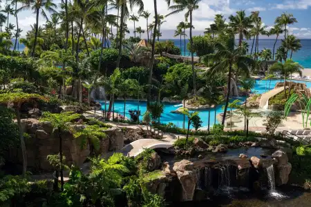The Westin Maui Resort & Spa, Ka'anapali - 43
