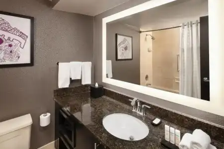 Embassy Suites by Hilton Crystal City National Airport - 51