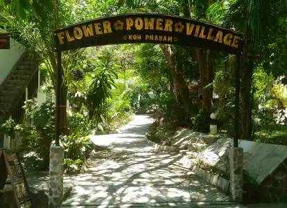 Flower Power Village - 17