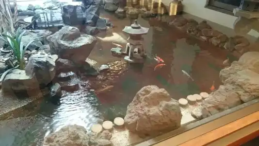 Hana no Onsen Ginsyo - 16