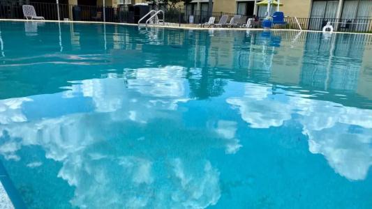 B&B Orlando International Drive Near Universal - Newly Renovated! - 105