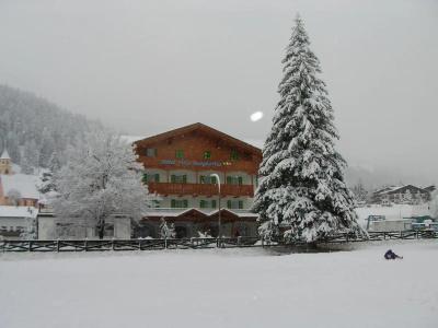 X Alp - 12