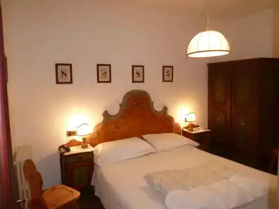 Menardi - 2