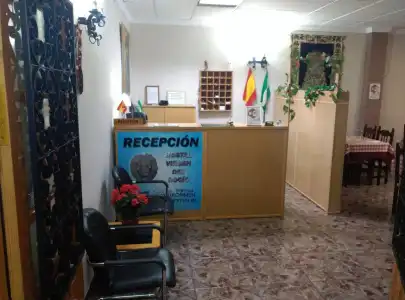 Hostal Virgen del Rocio - 9