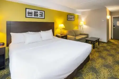 Comfort & Suites - 38