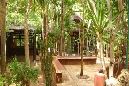 Sam's Jungle Guesthouse - 13