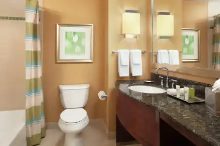 Hilton Orlando - 38
