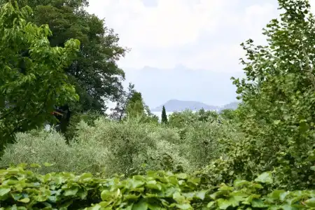 Diffuso Il Portichetto sulla collina a Vezio Perledo - 261