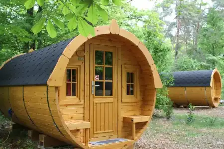 Azur Waldcamping Auwaldsee - 26